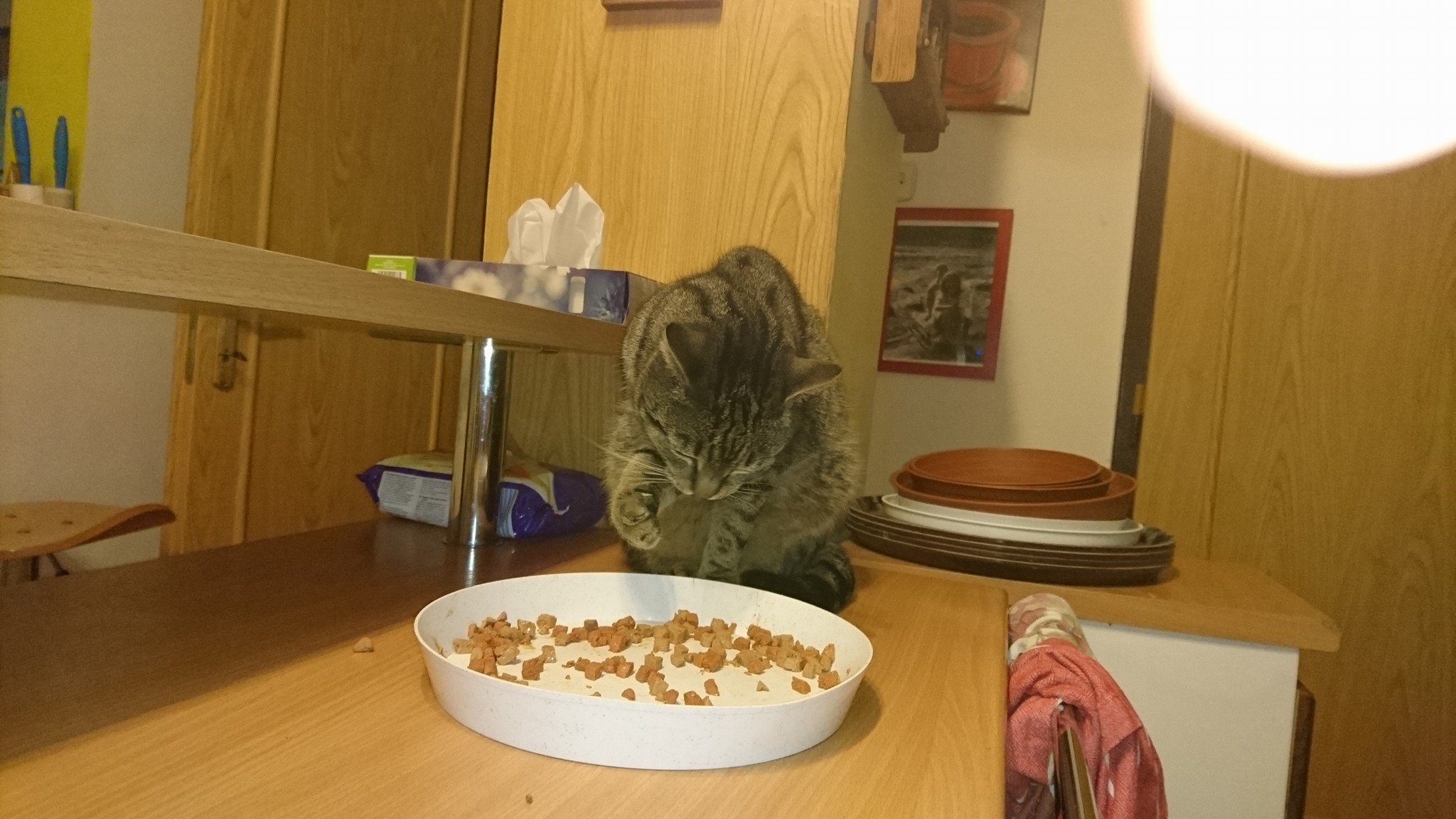 15776794_734229893408283_1440797682761281181_o