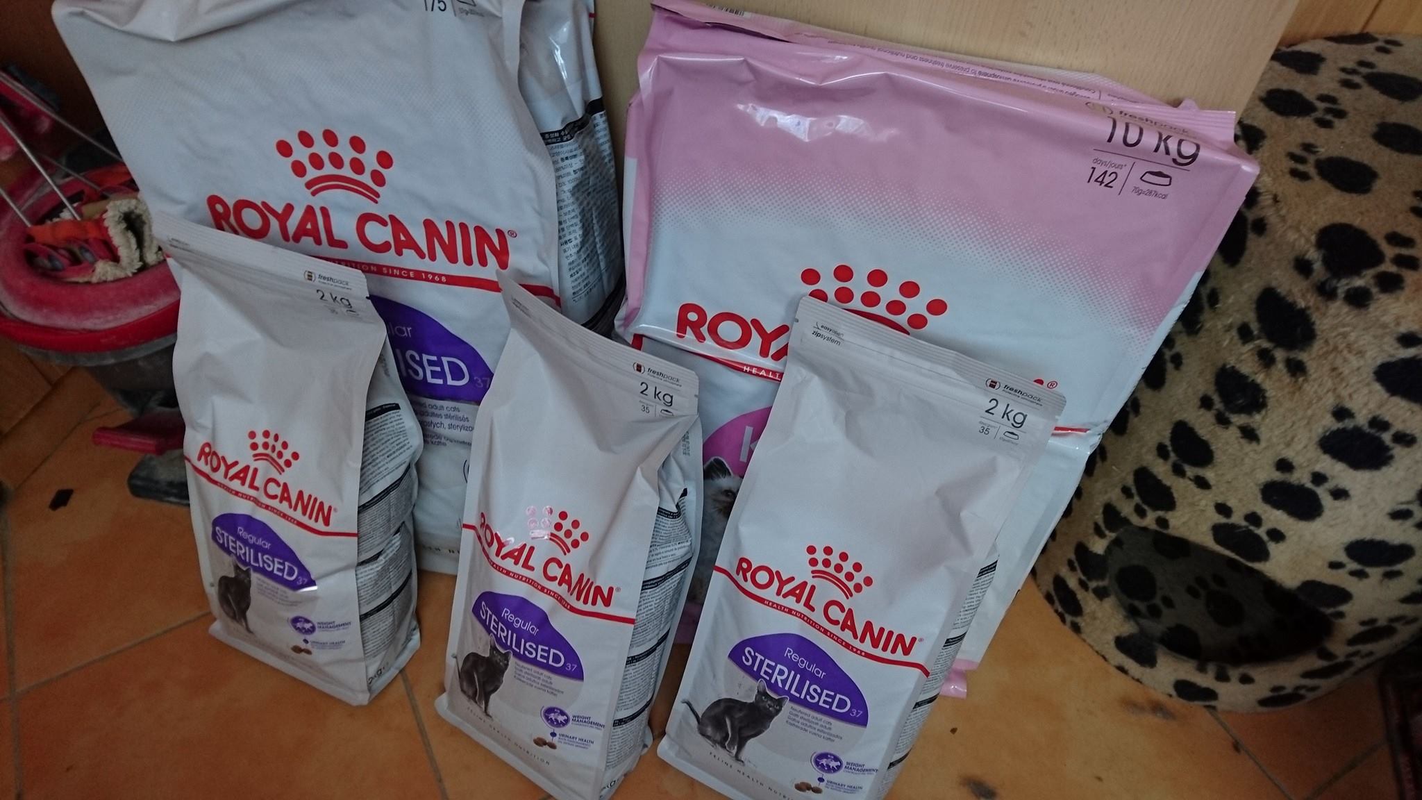 15895806_739917962839476_4097410296613637627_o