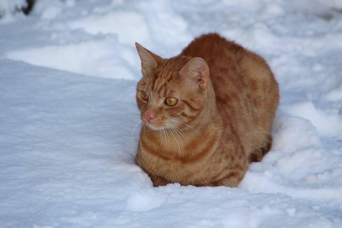 15902857_10208065351660691_1104924080_o