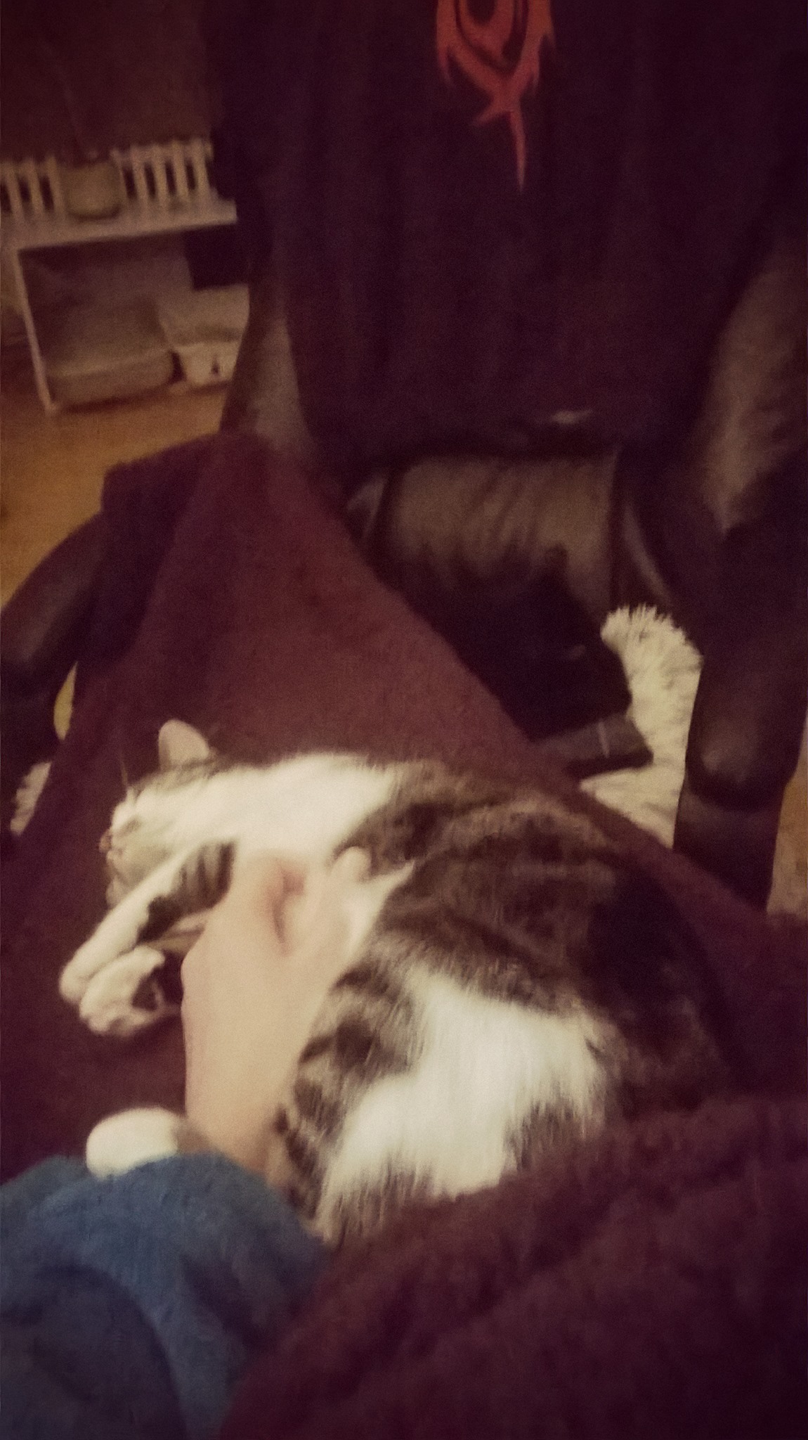 15909090_389071548112277_617365305_o