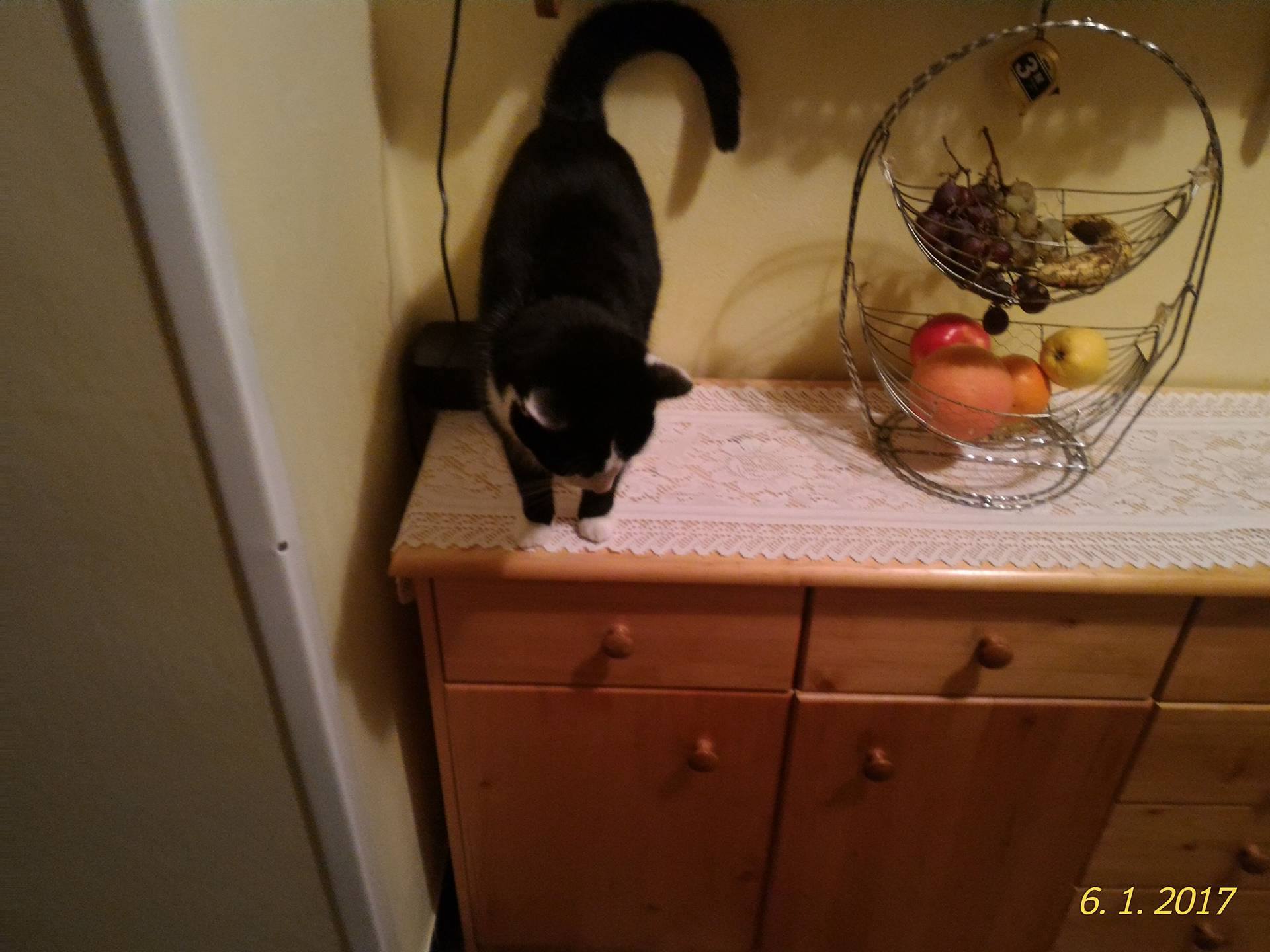 15934031_10208084170446389_144066776_o