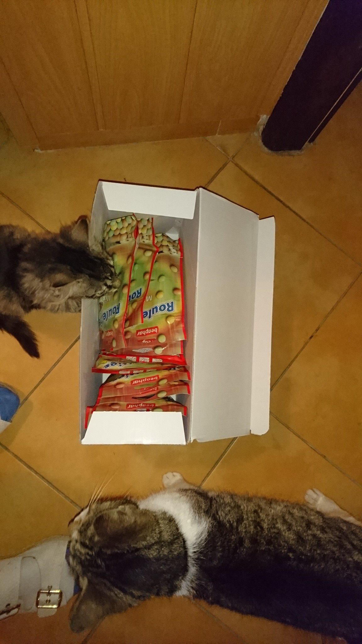 15936650_740540416110564_4709605936388242224_o