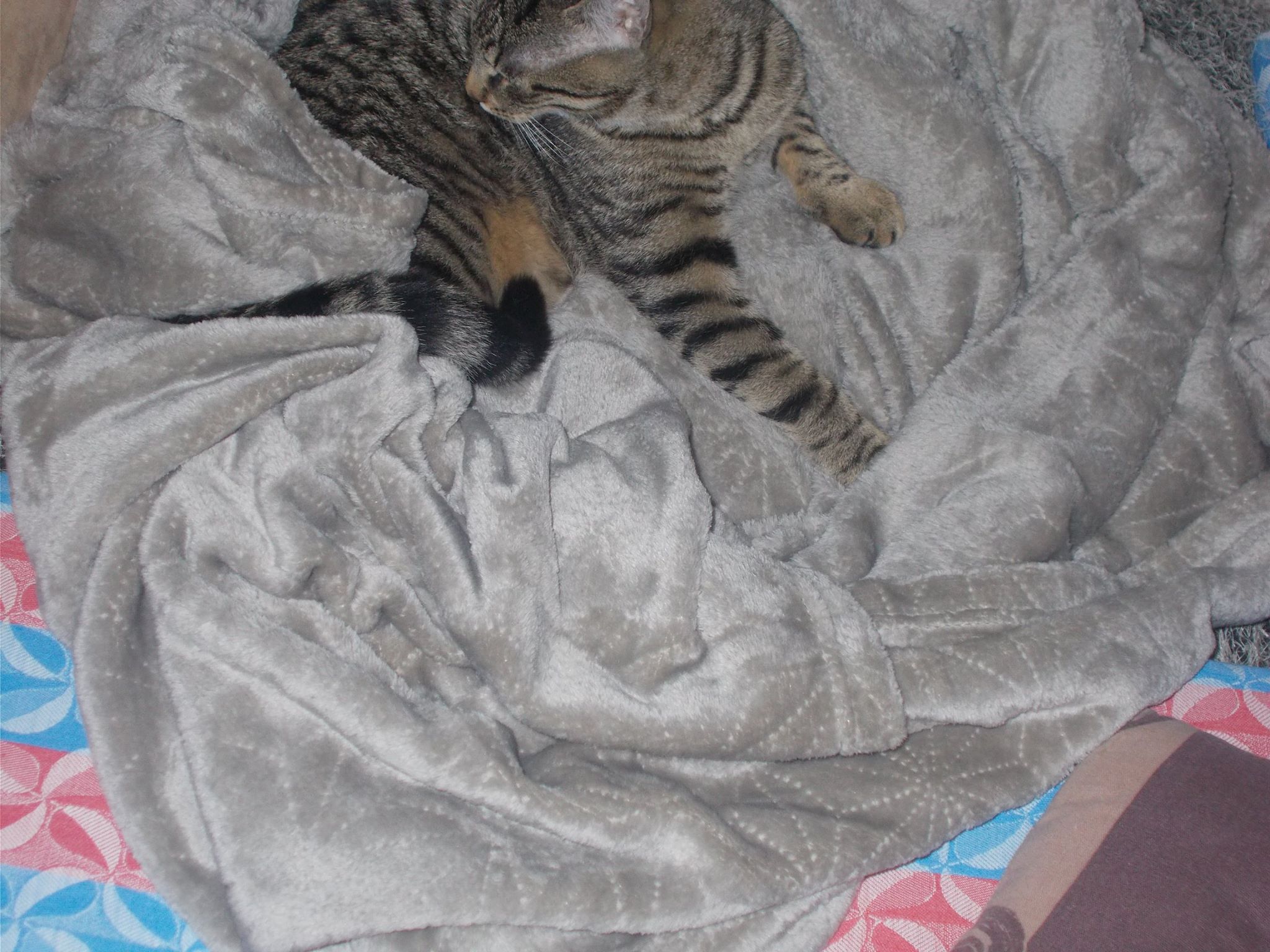 15937280_742051339292805_5379920604753344791_o