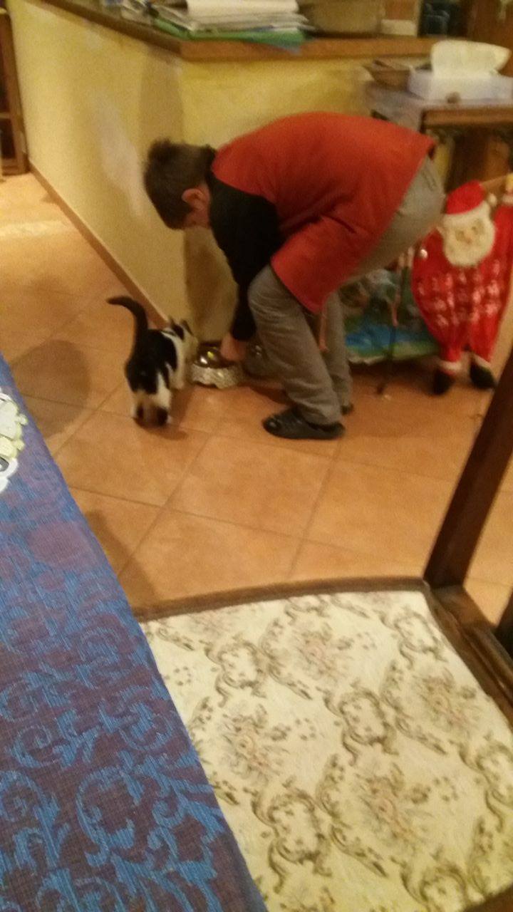 15967382_1664631653565664_1114112306_o