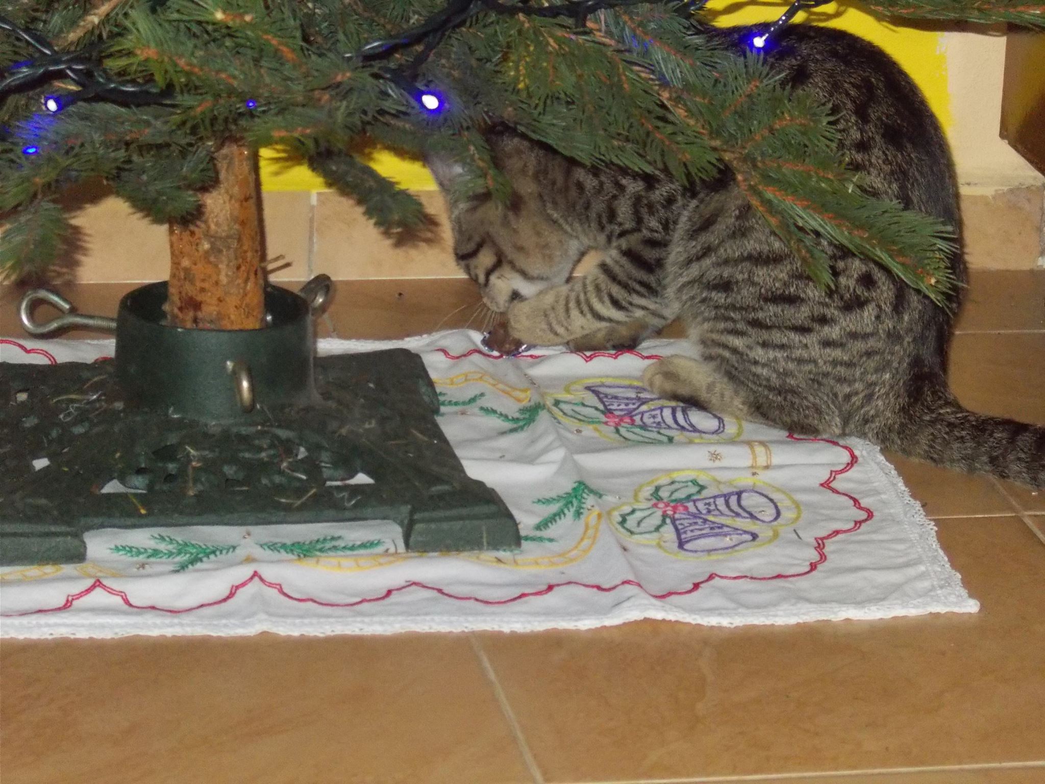 15972446_742051155959490_1822914768705269962_o