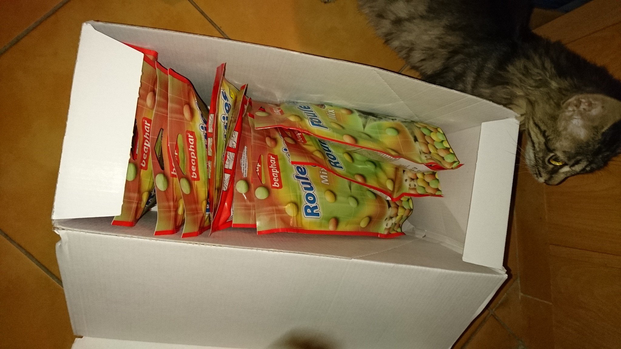 15972688_740539699443969_511844332711577964_o