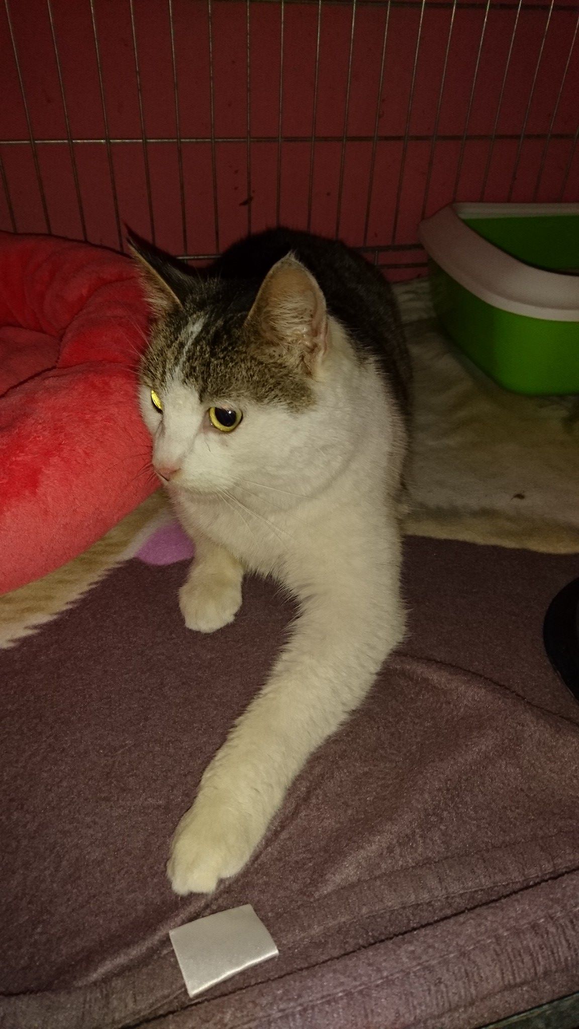 15972765_740542912776981_6871104313345939382_o