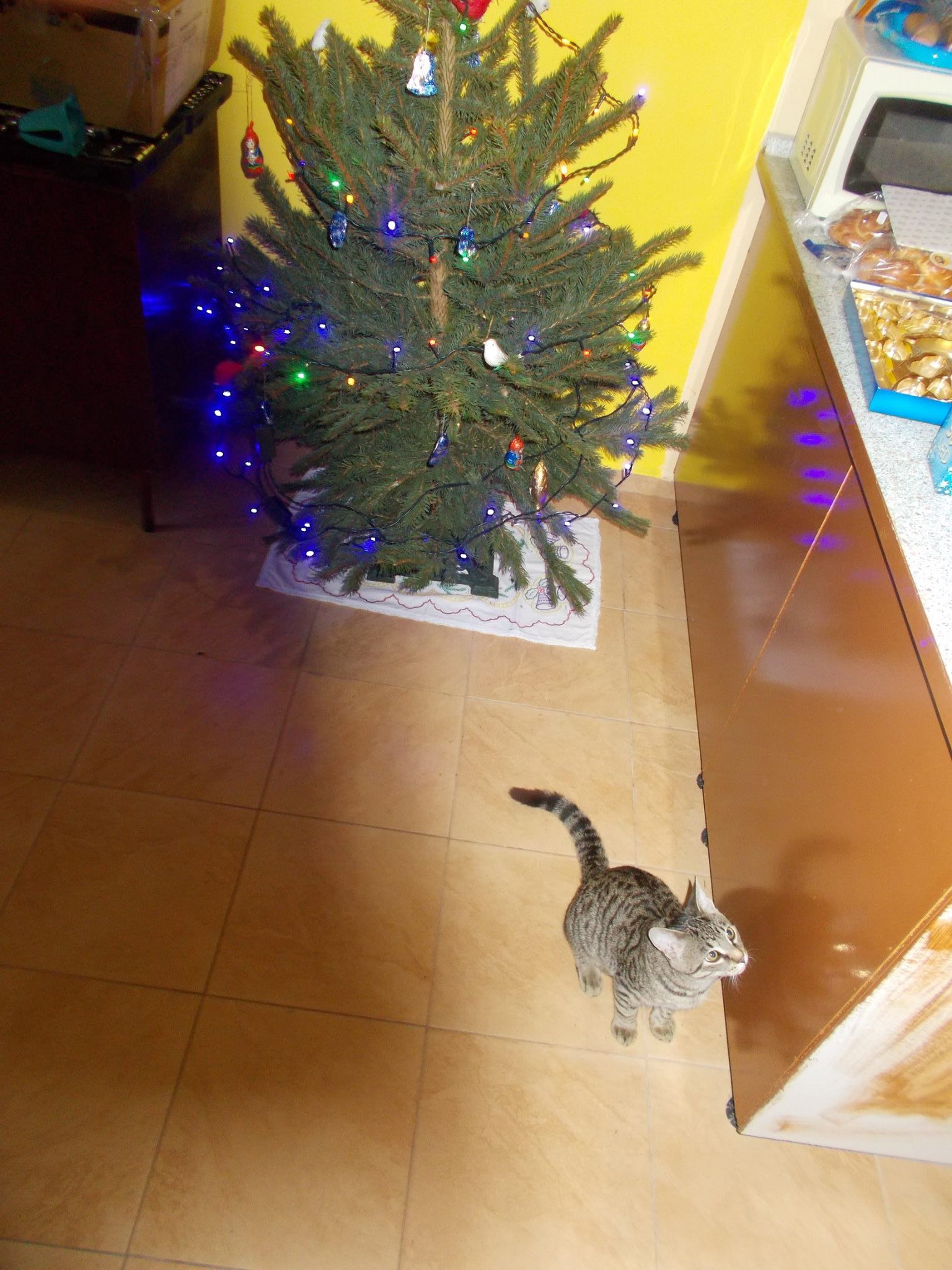 15974873_742051082626164_3689346885214407976_o