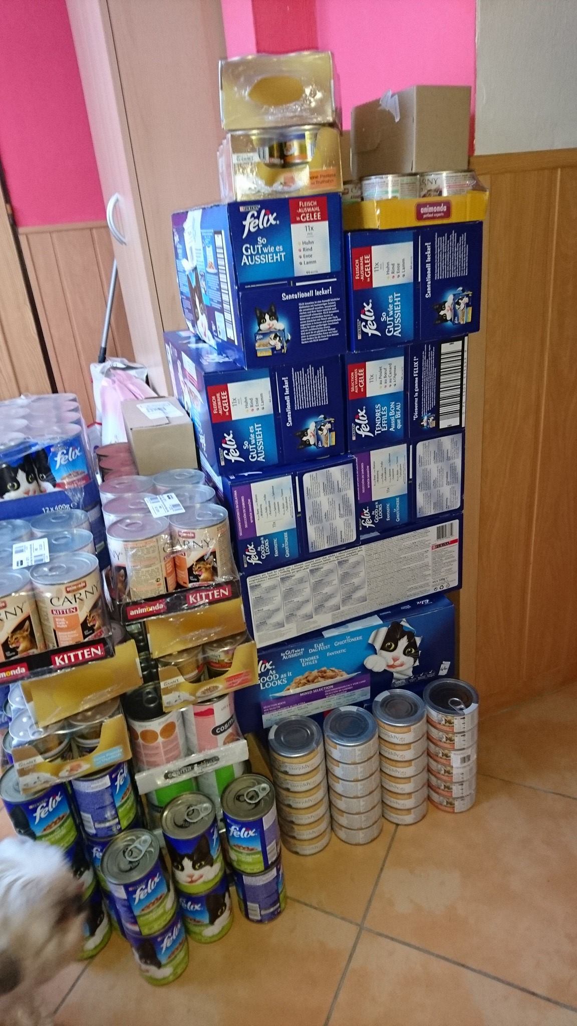 15974977_739917819506157_1203235963455483717_o