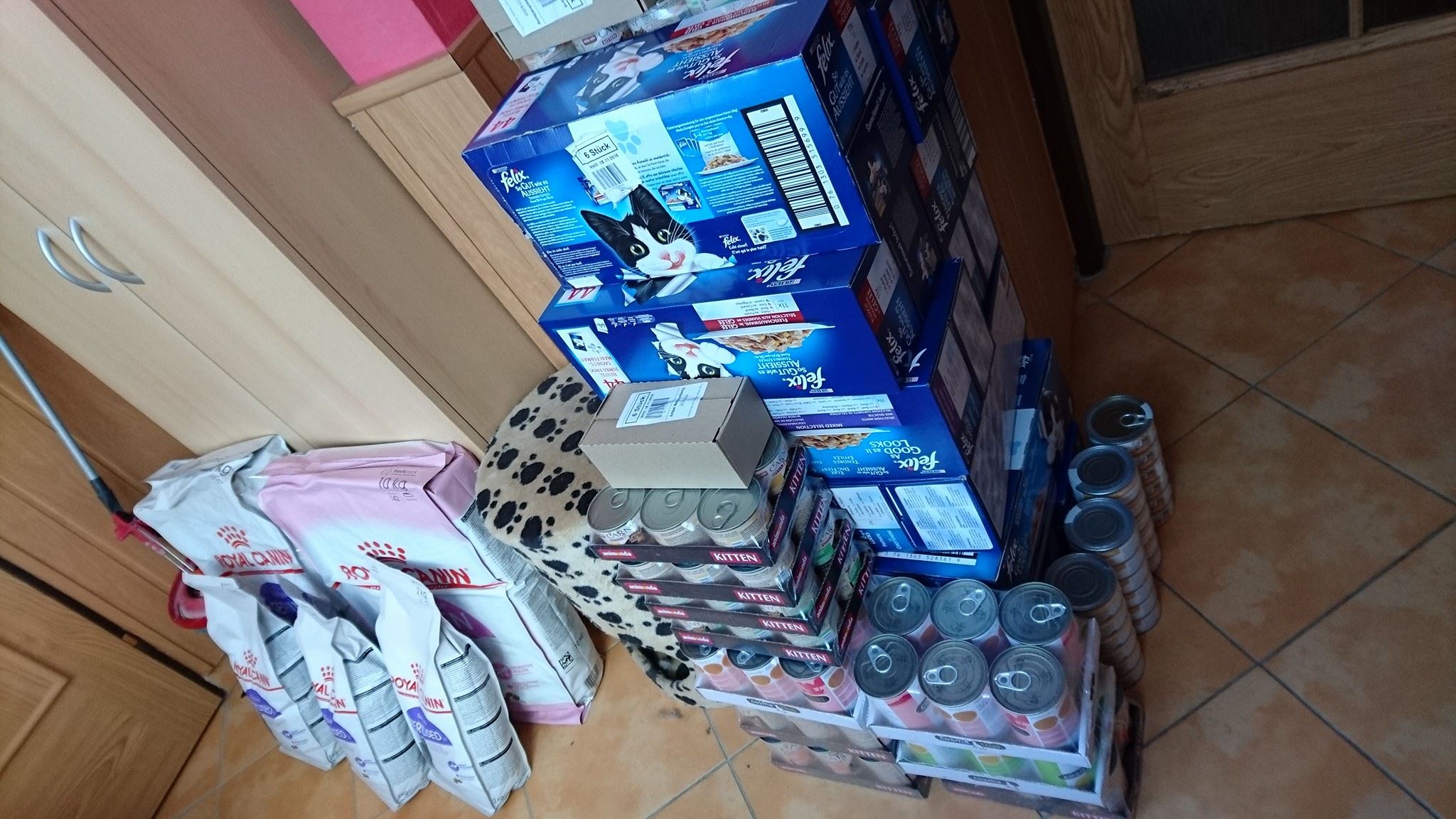 15975091_739917219506217_4711339372525054199_o