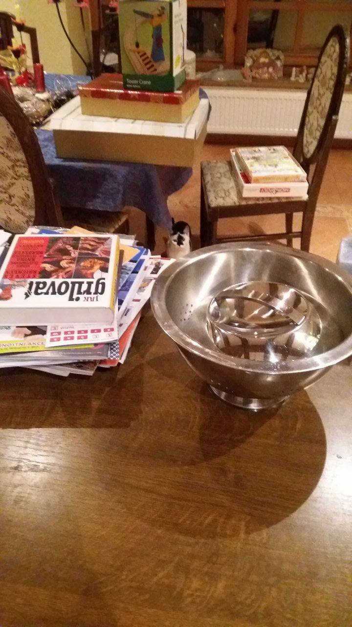 15991564_1664631566899006_1716451702_o