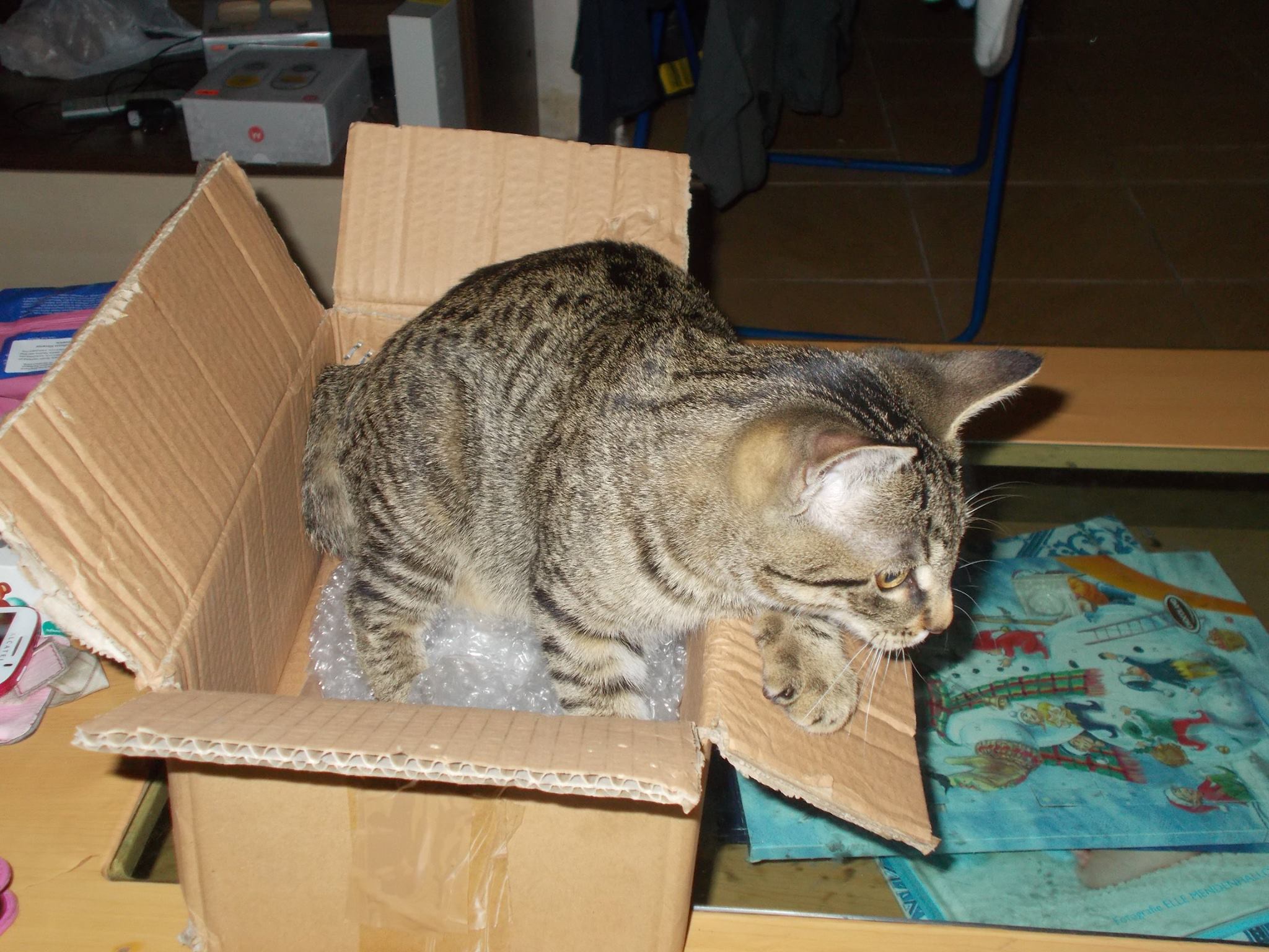 15994420_742050919292847_3441939490186915430_o