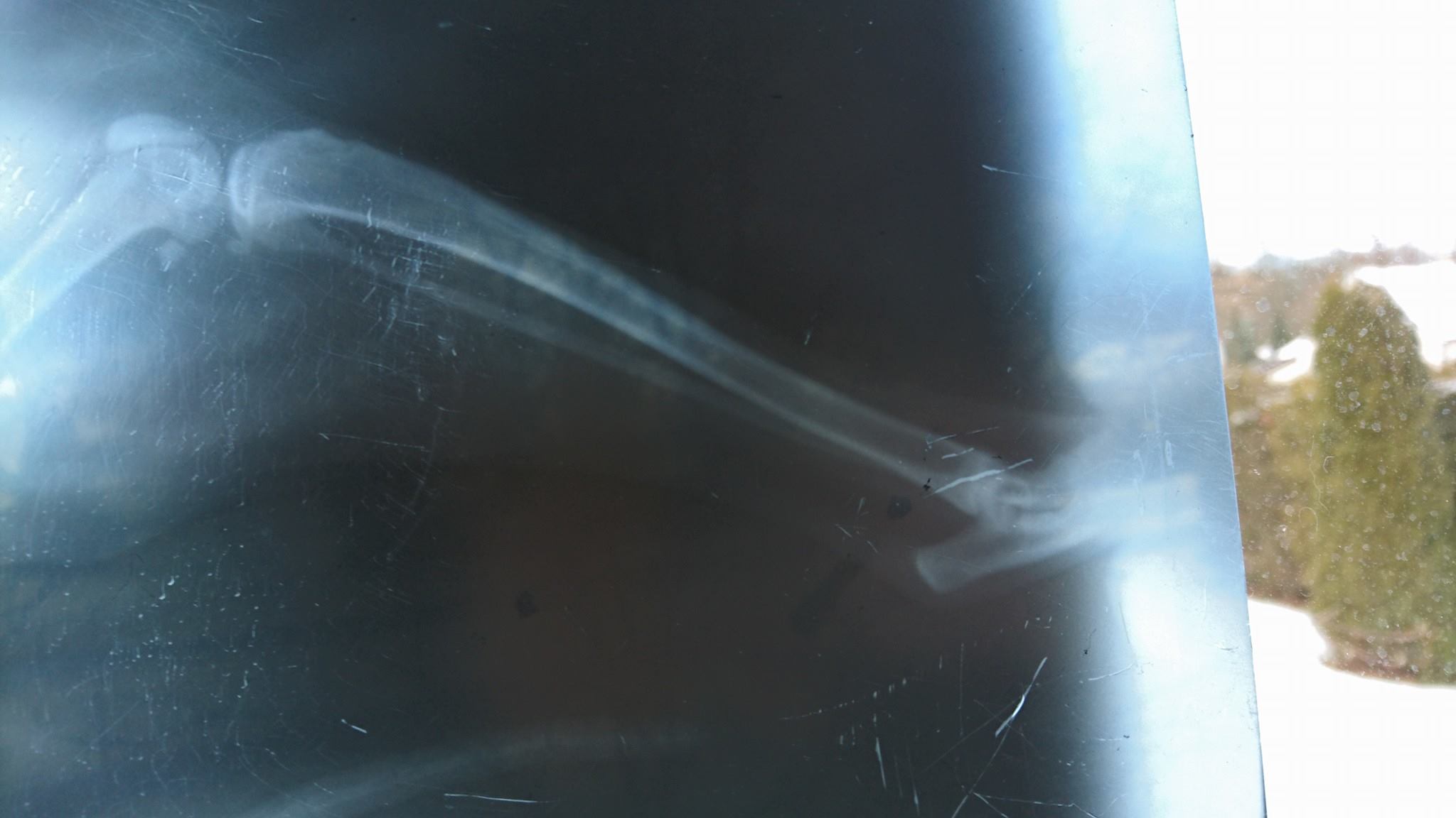 15994530_740542579443681_8225939751339817862_o