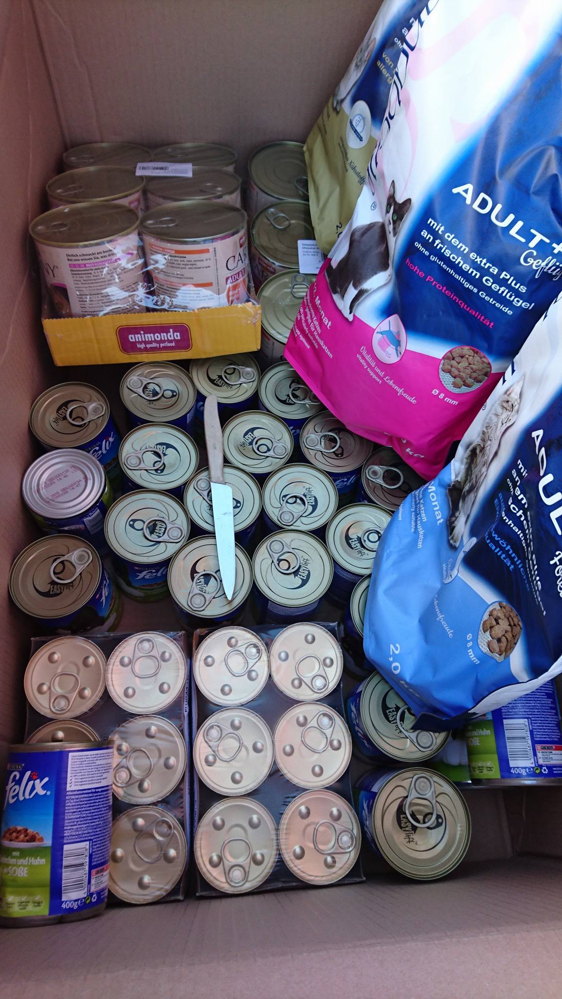 15994680_739917059506233_149206711526705128_o