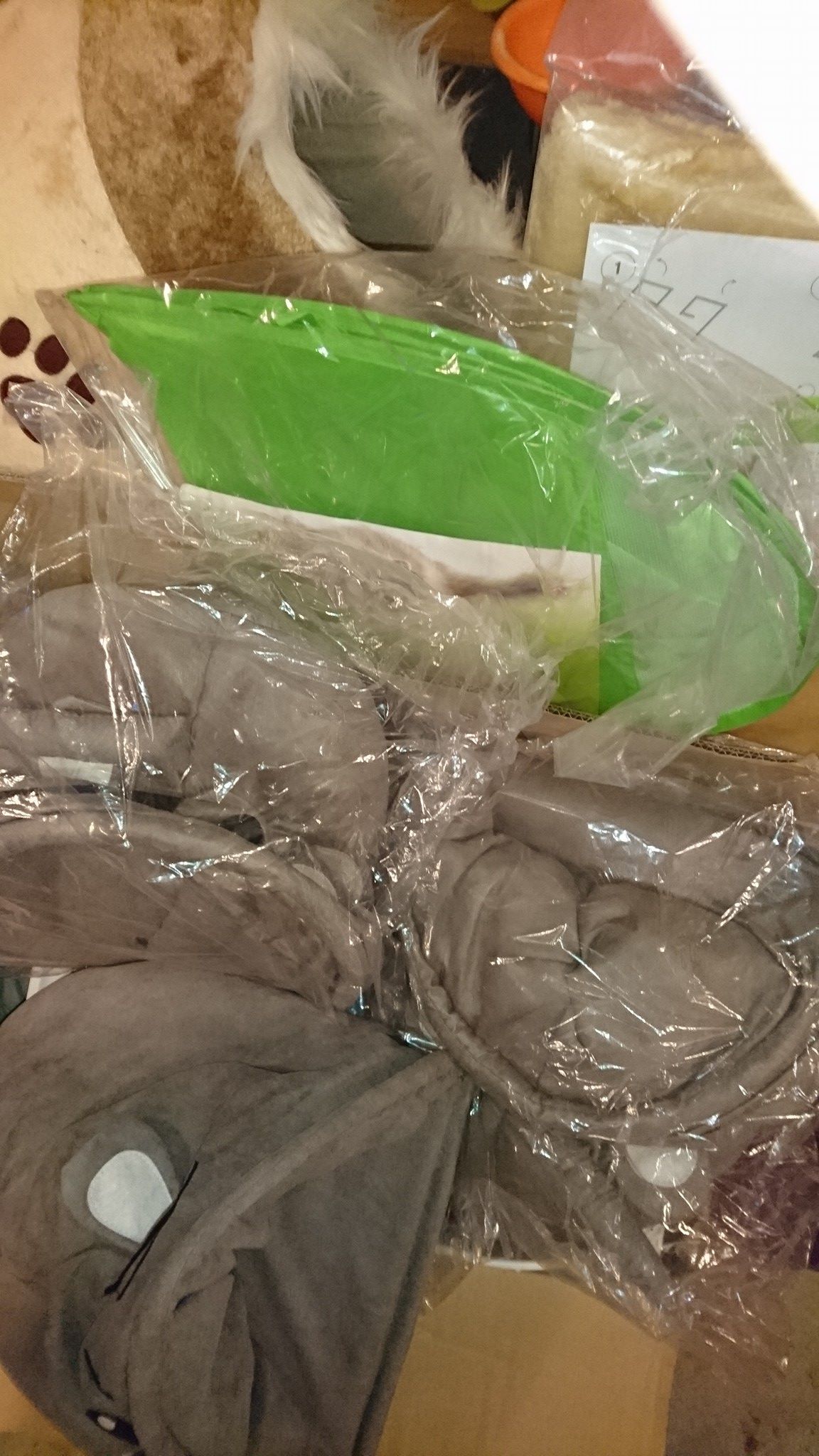 15994910_740538359444103_4760863019873836814_o