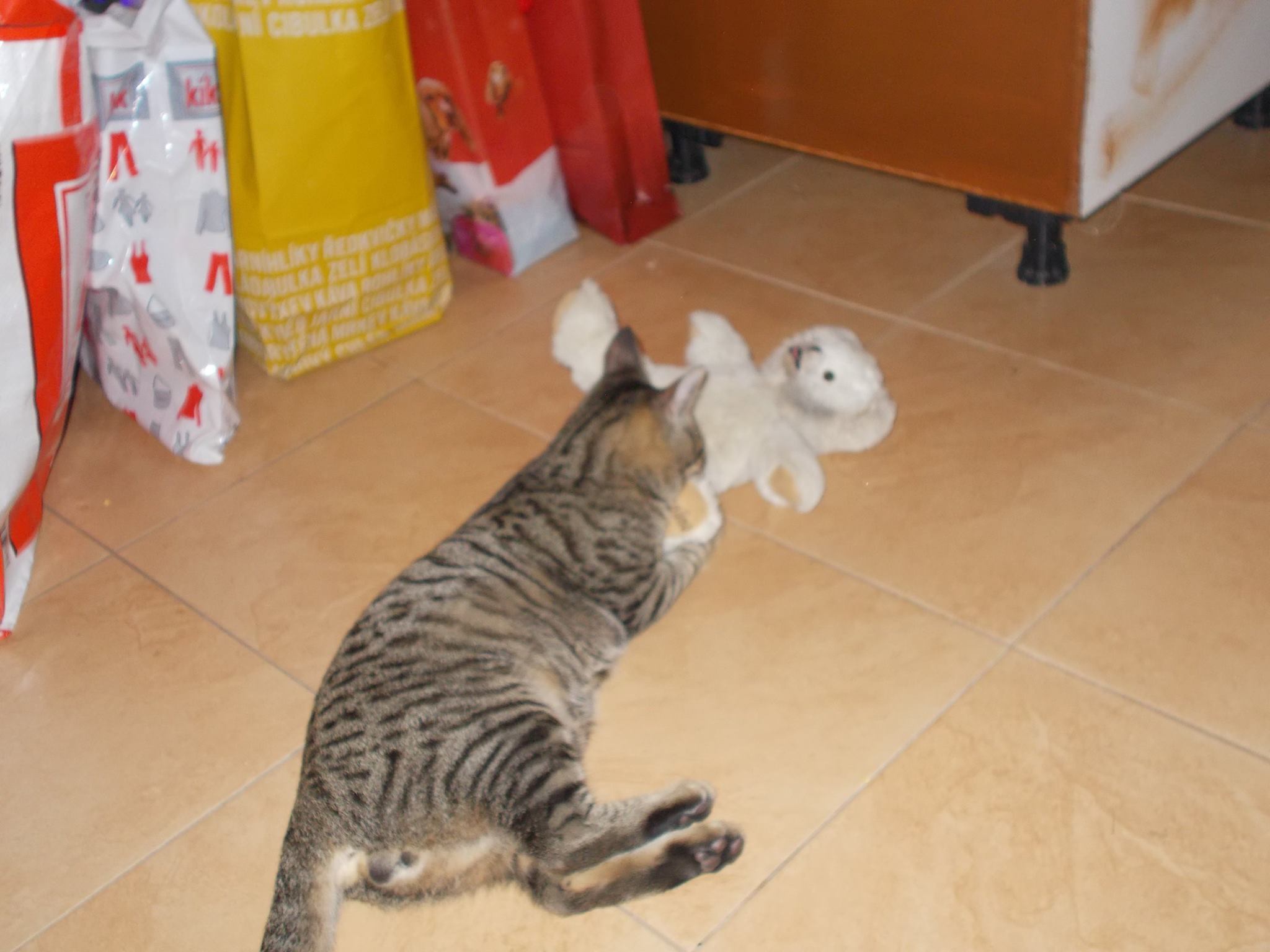 15995191_742051222626150_585793432548060217_o