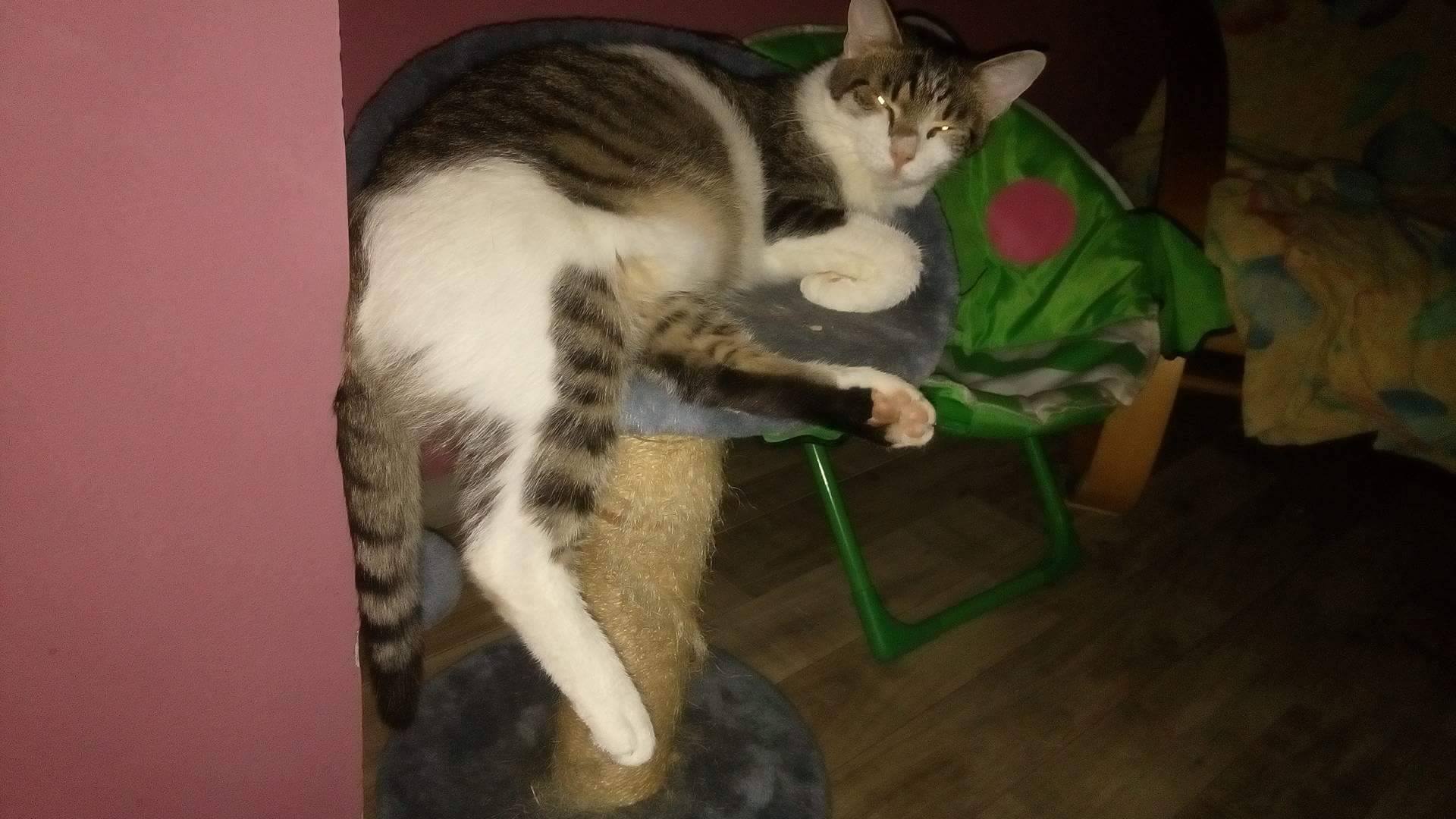 16010366_10206189862745980_601230451_o