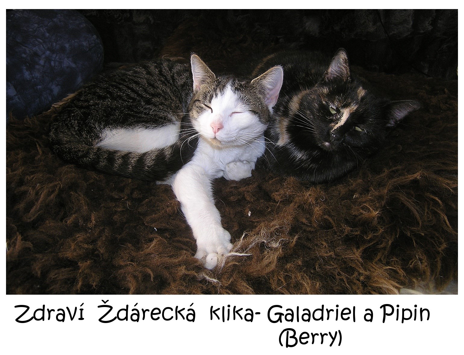 16107064_1319260858120159_783644749_o