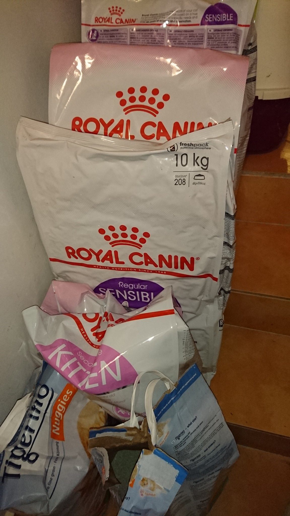 16107493_740540106110595_3296688858024282554_o