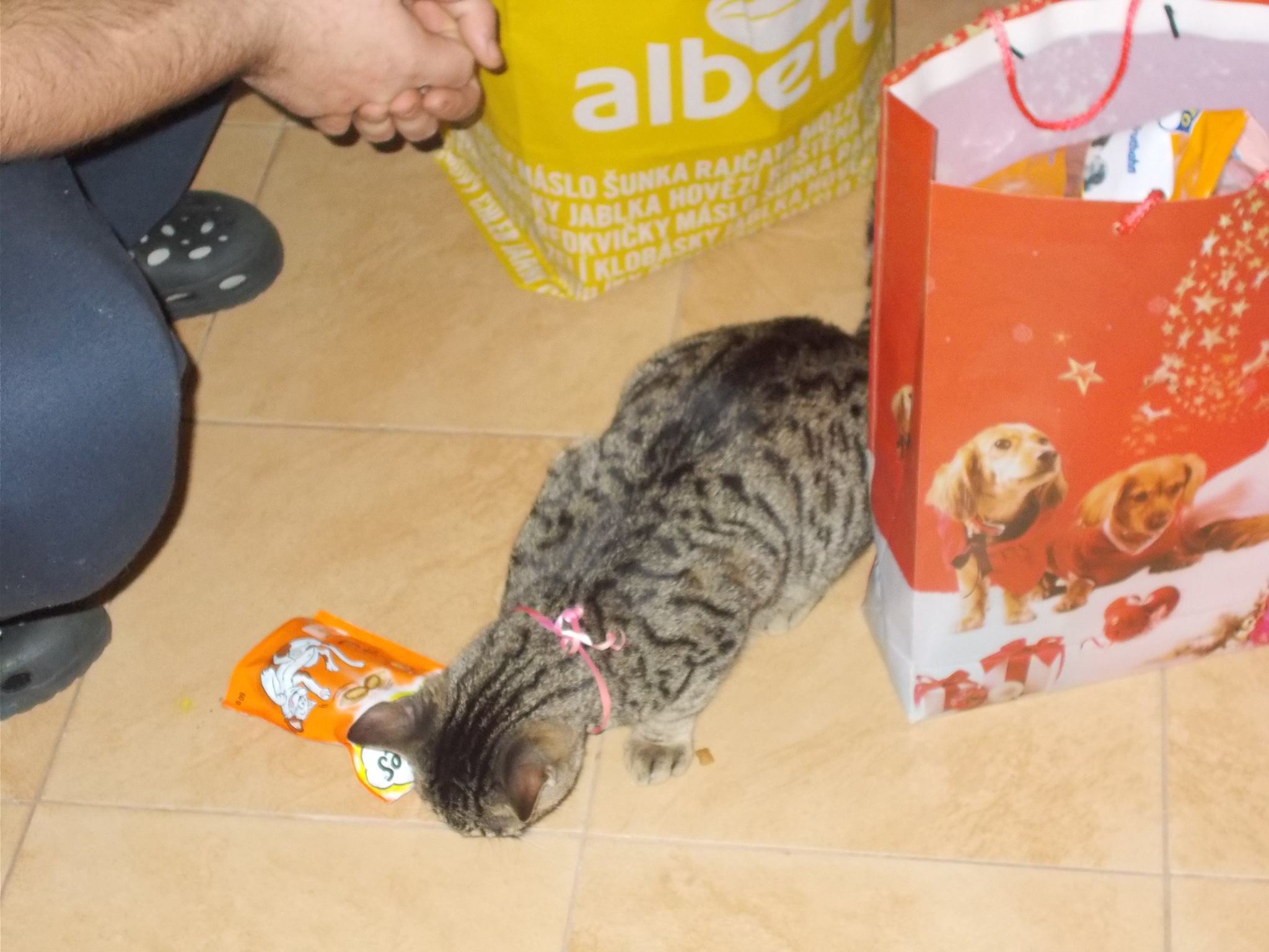 16107530_742051309292808_1630012460665223600_o