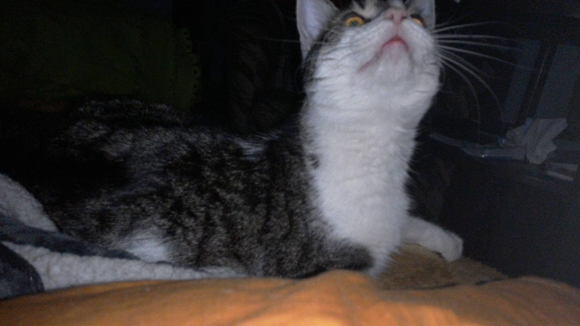 16107694_10206190056790831_1418221374_o