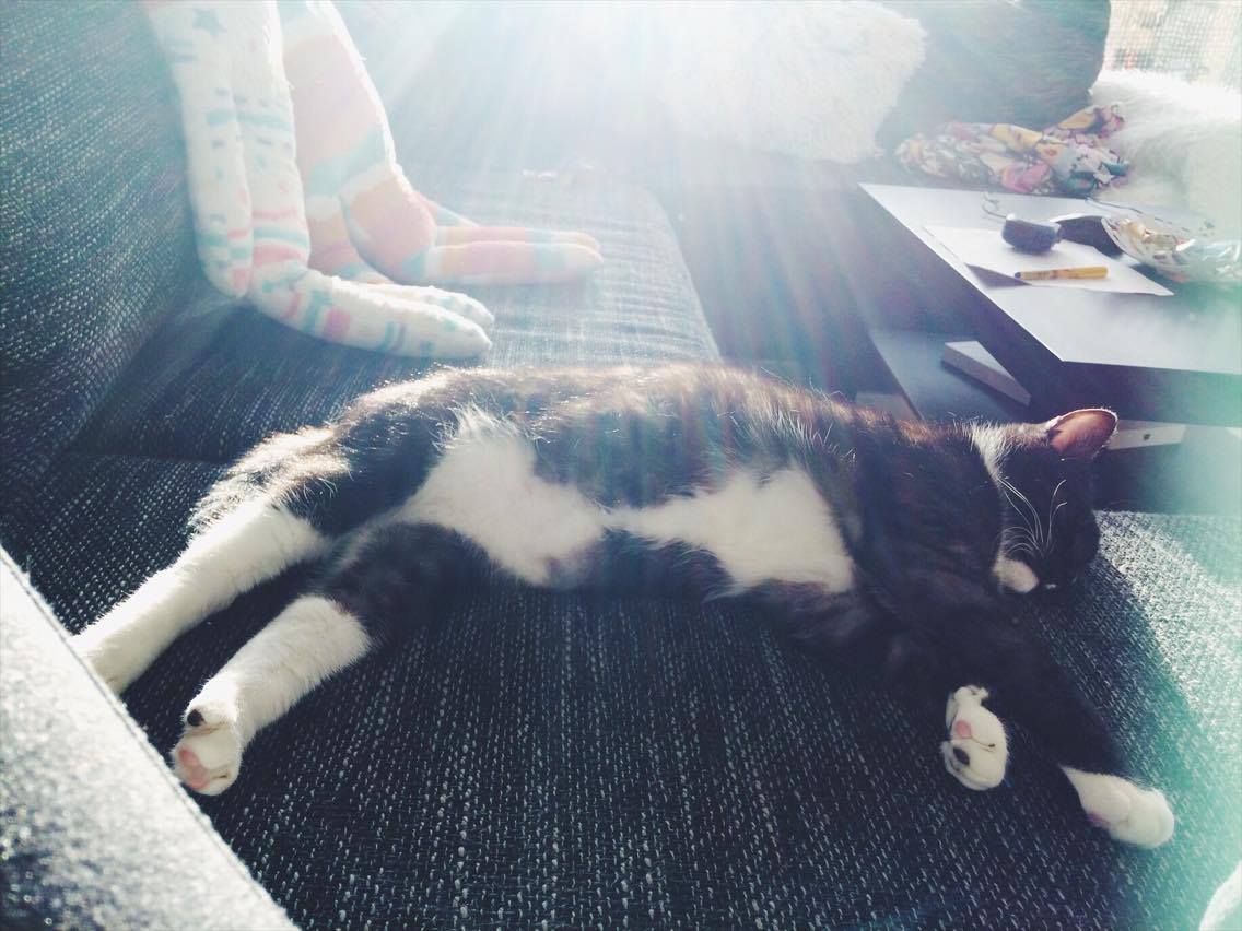 16107801_10202659099154718_132272000_o