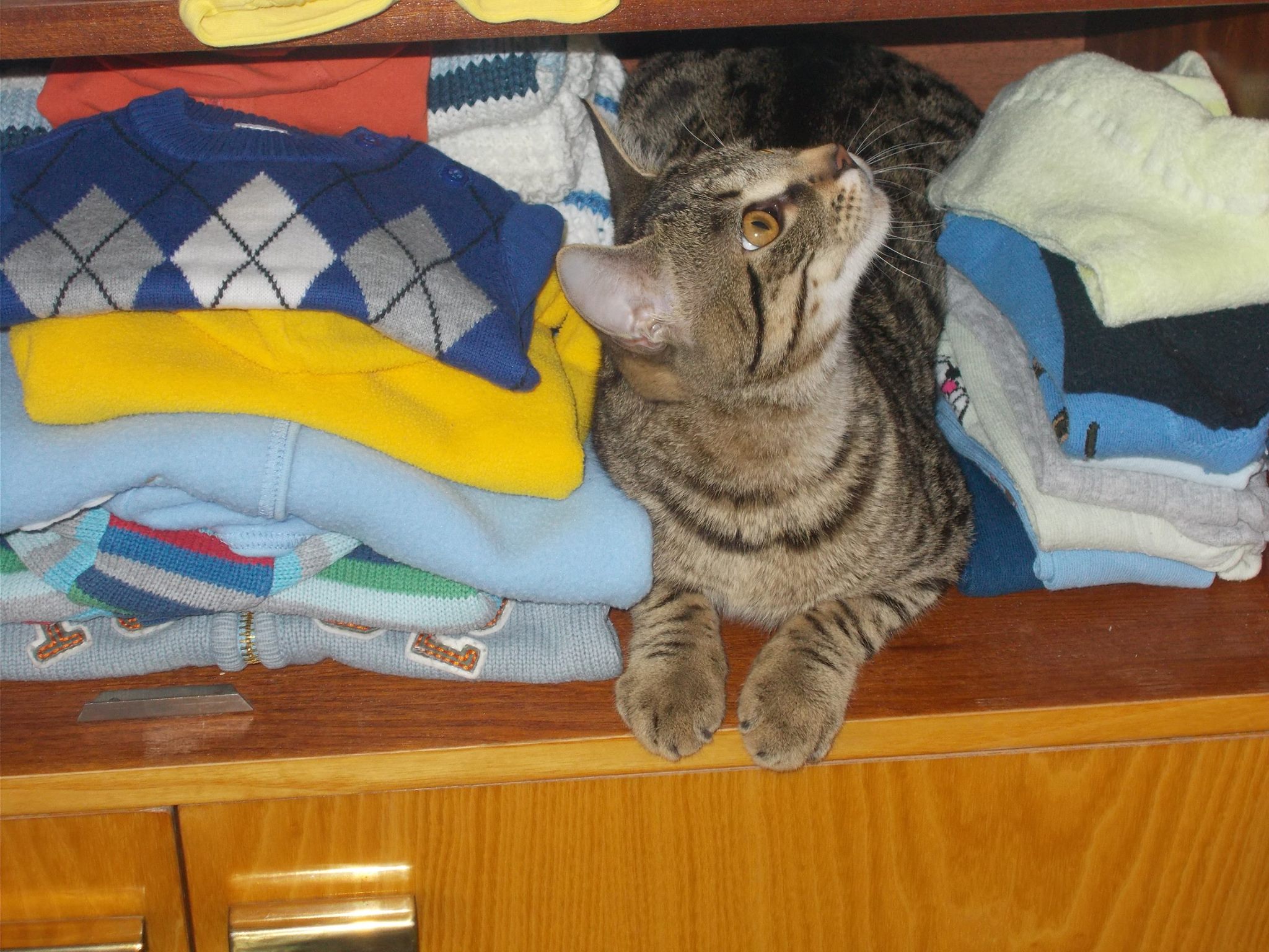 16112550_742051315959474_3106702949930869292_o