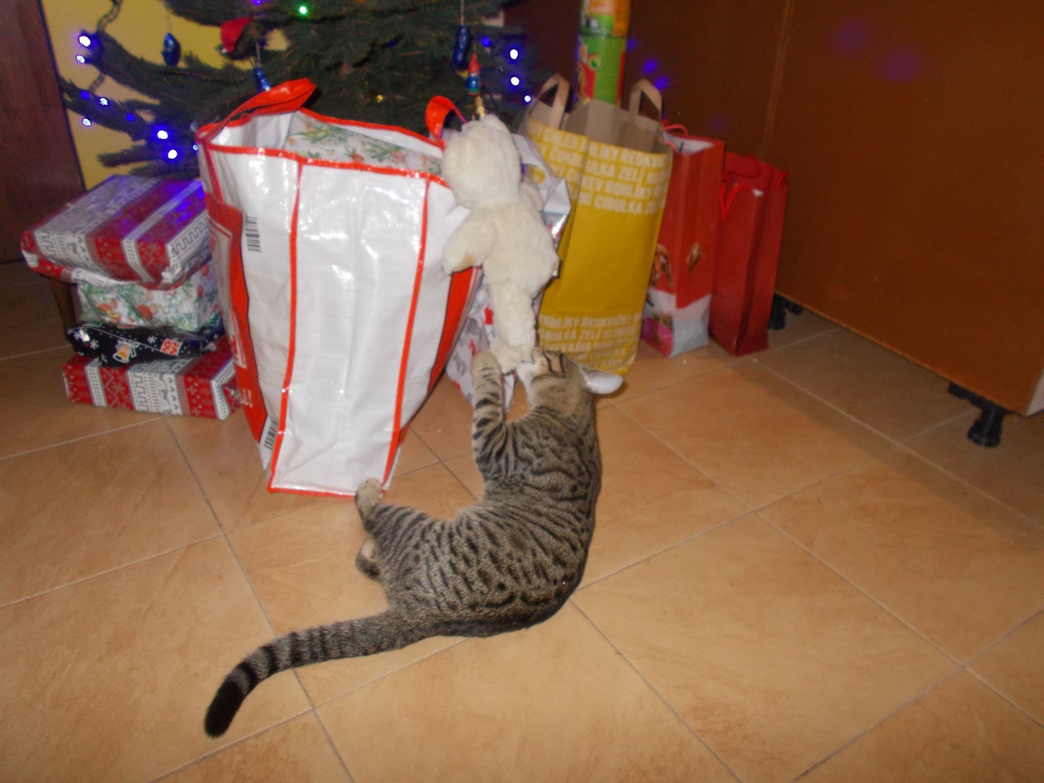 16112935_742051215959484_5917586179085067796_o