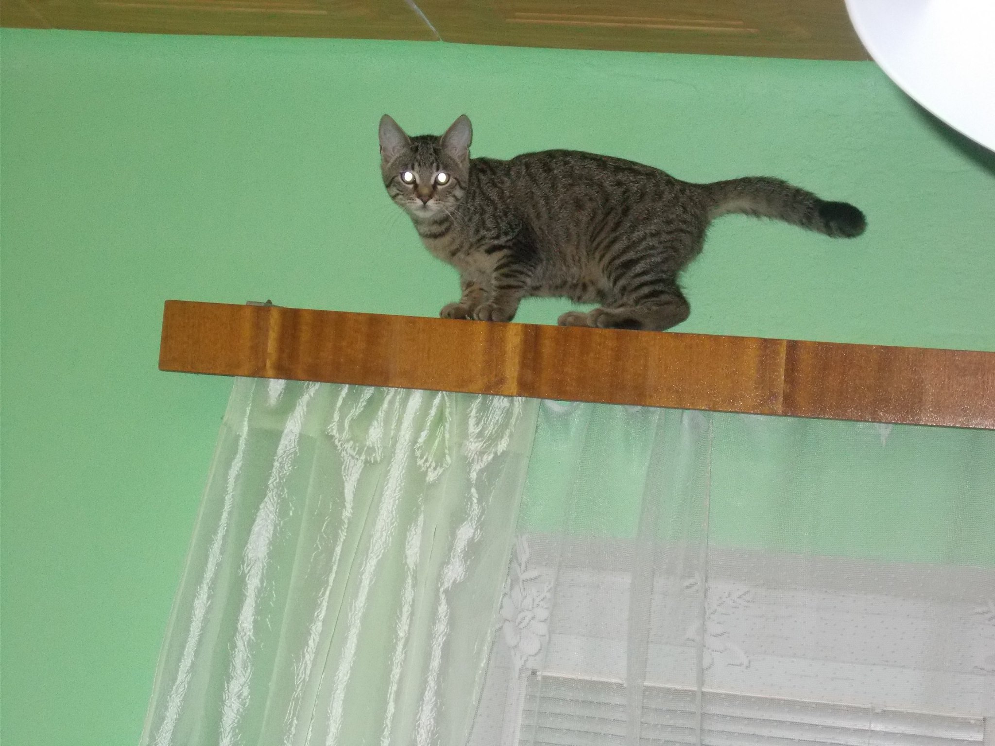 16113192_742050842626188_798304215035355587_o