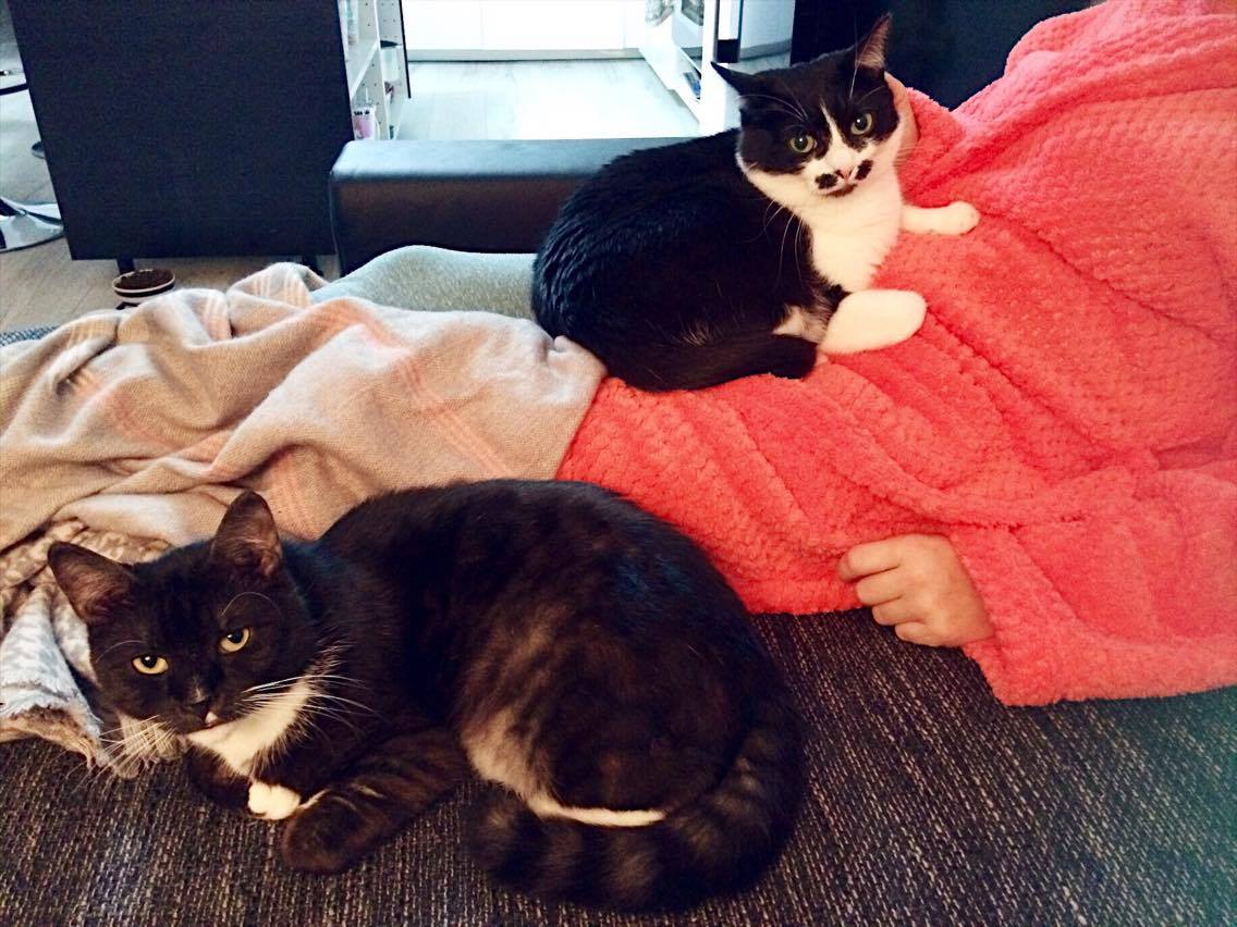 16121668_10202659099074716_362599227_o