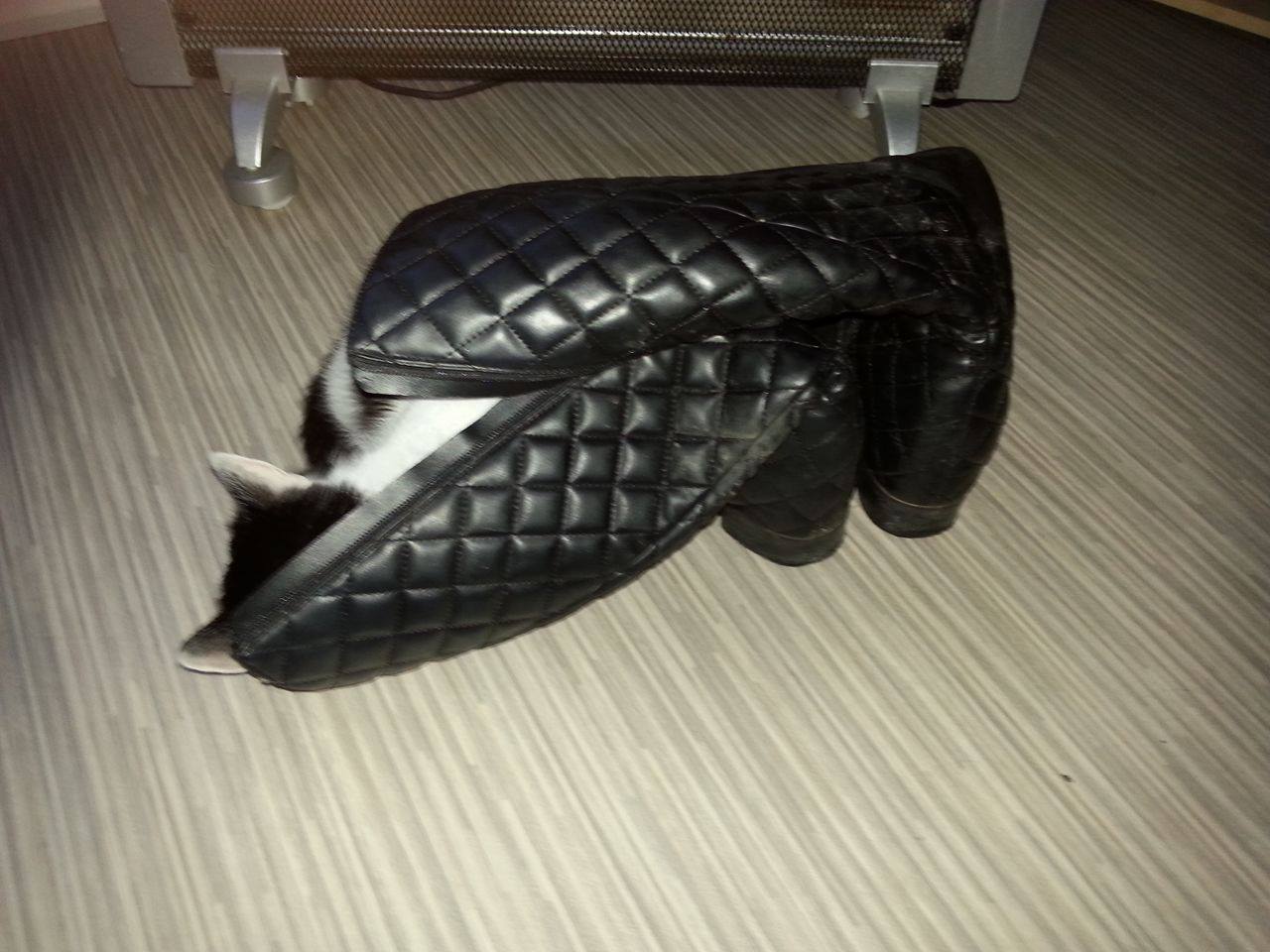 16121727_10206804567467602_419564546_o