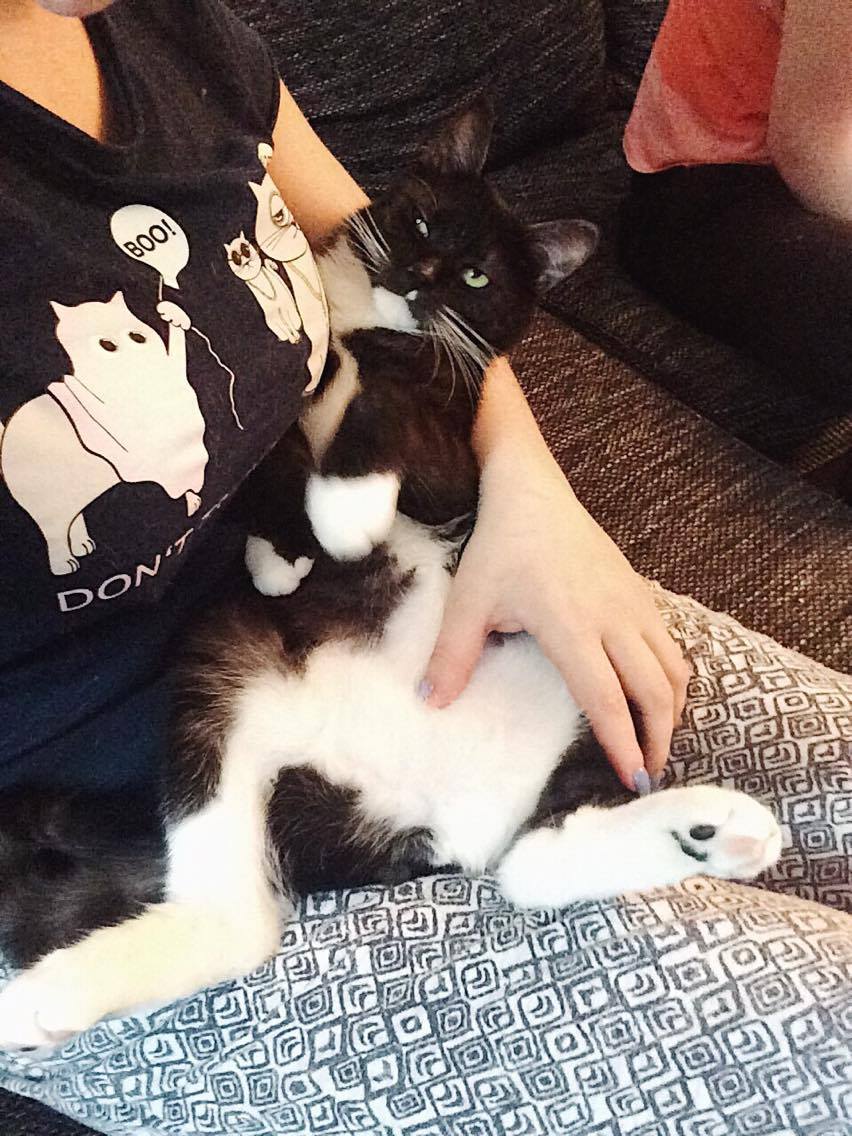 16122071_10202659099034715_459056775_o