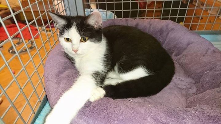 6078c9c7ff6cc16d7a04