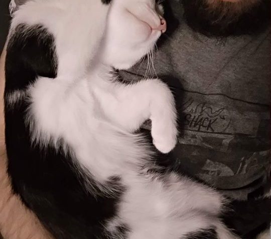 BERÍSEK, TEĎ MAX, POSÍLÁ POZDRAVY. ...