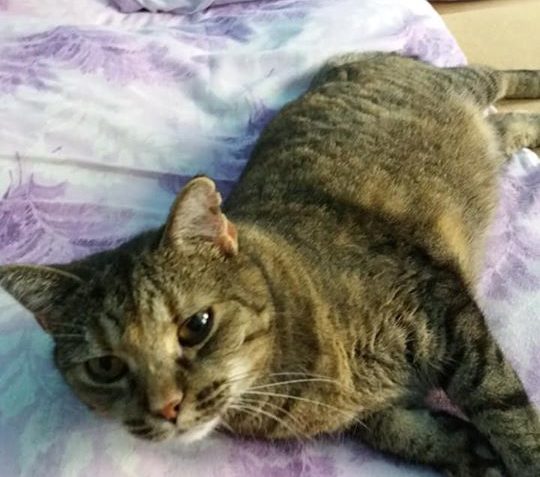 Jituska-Lucinka ️️️...