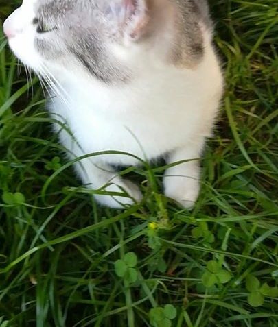 Rozarka z depozita u Marušky. Ráda by už do svého.