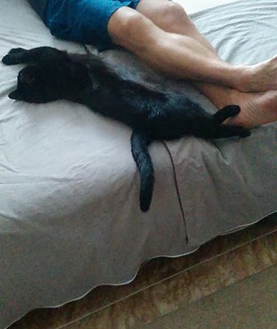 VŠECHNA ️POZDRAVUJE VELKÝ  SLÁVEK