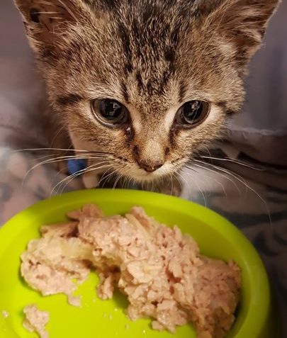 Zpravodajství do 13.8.2018...