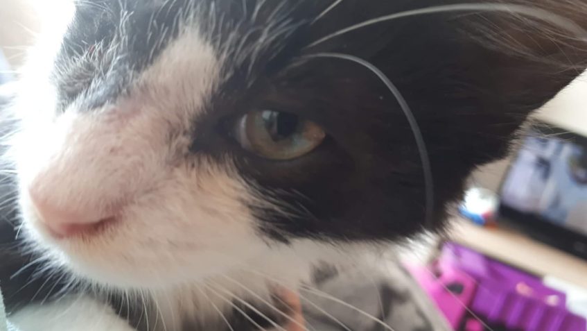 MALÝ OČKO BYL S MAMINKOU NA KLINICE  Zdravim :)  Tak kontrol...