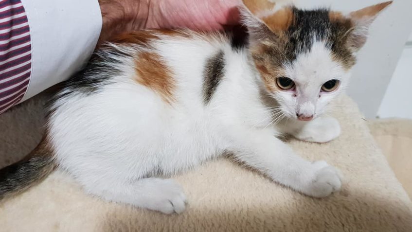 TENTO TÝDEN JE CO SE TÝČE PŘÍJMU STRAŠNÝ....