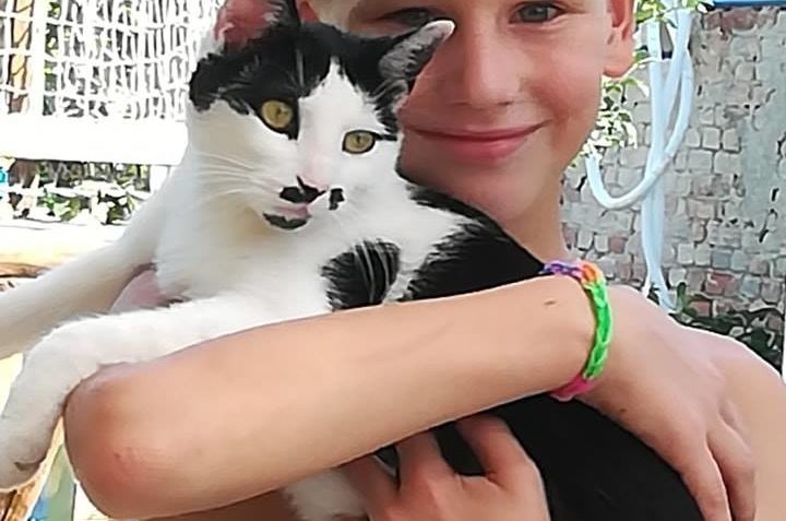 Trochu delší zpráva od "naší kočičí trojky  PEUGEOTEK a...