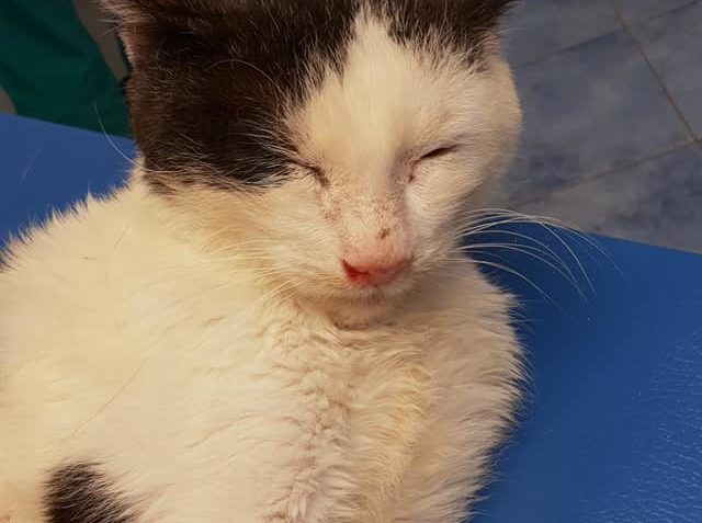 VČERA SE ŠMUDLA NA KONTROLE NA KLINICE TAKTO ROZVALOVAL A MA...