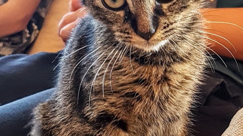 ZNOVEHO DOMOVA ZDRAVÍ I GOFY, MÁ JEŠTĚ TROCHU ZDRAVOTNÍ PROB...