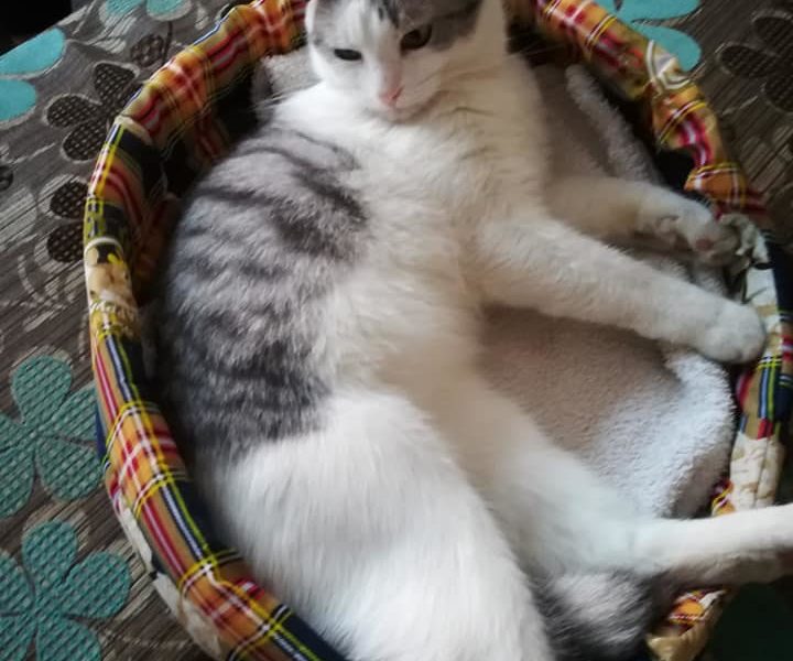 Macík z Černoučka posílá po deseti dnech v novém domově spok...