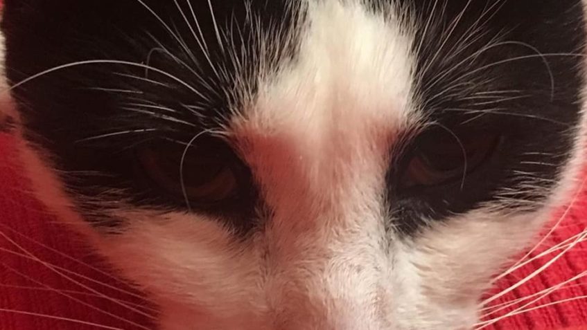 SMOUKÍÍÍ, TEN KLUK SE MÁ SKVĚLE