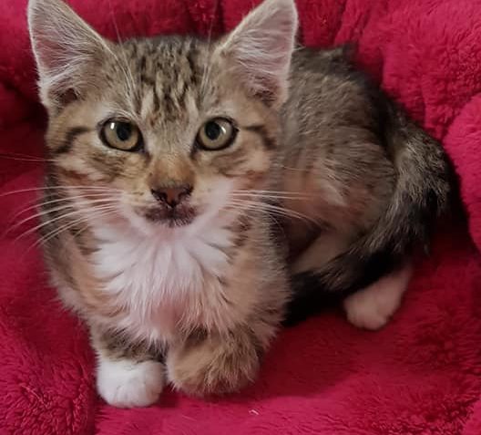 Zpravodajství do 8.10.2018...