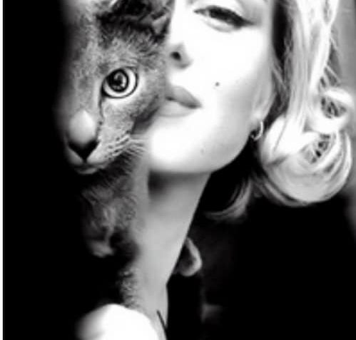 A když jsou ty svátky, máme tu něco k odpolednímu kafičku...