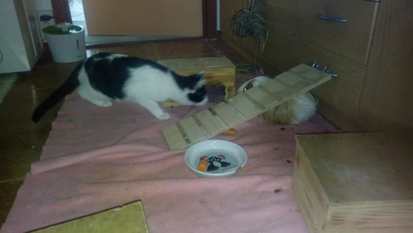 APEROLKA Z NOVÉHO DOMOVA...