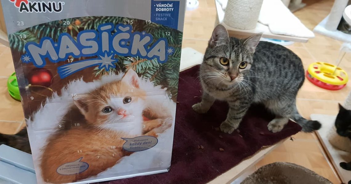 DALŠÍ VANOČNÍ DÁREK DOSTALA TA NAŠE ZLOBIDLA OD SLEČNY KAR...