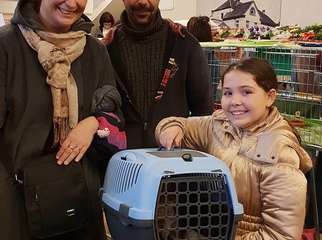 DALŠÍ ÚŽASNOU RODINU   S MALOU OPATROVATELKOU VČELE  NAŠLA U...